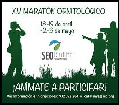 XV Maratón Ornitológico, Cartel anunciador